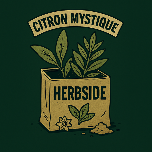 Citron mystique